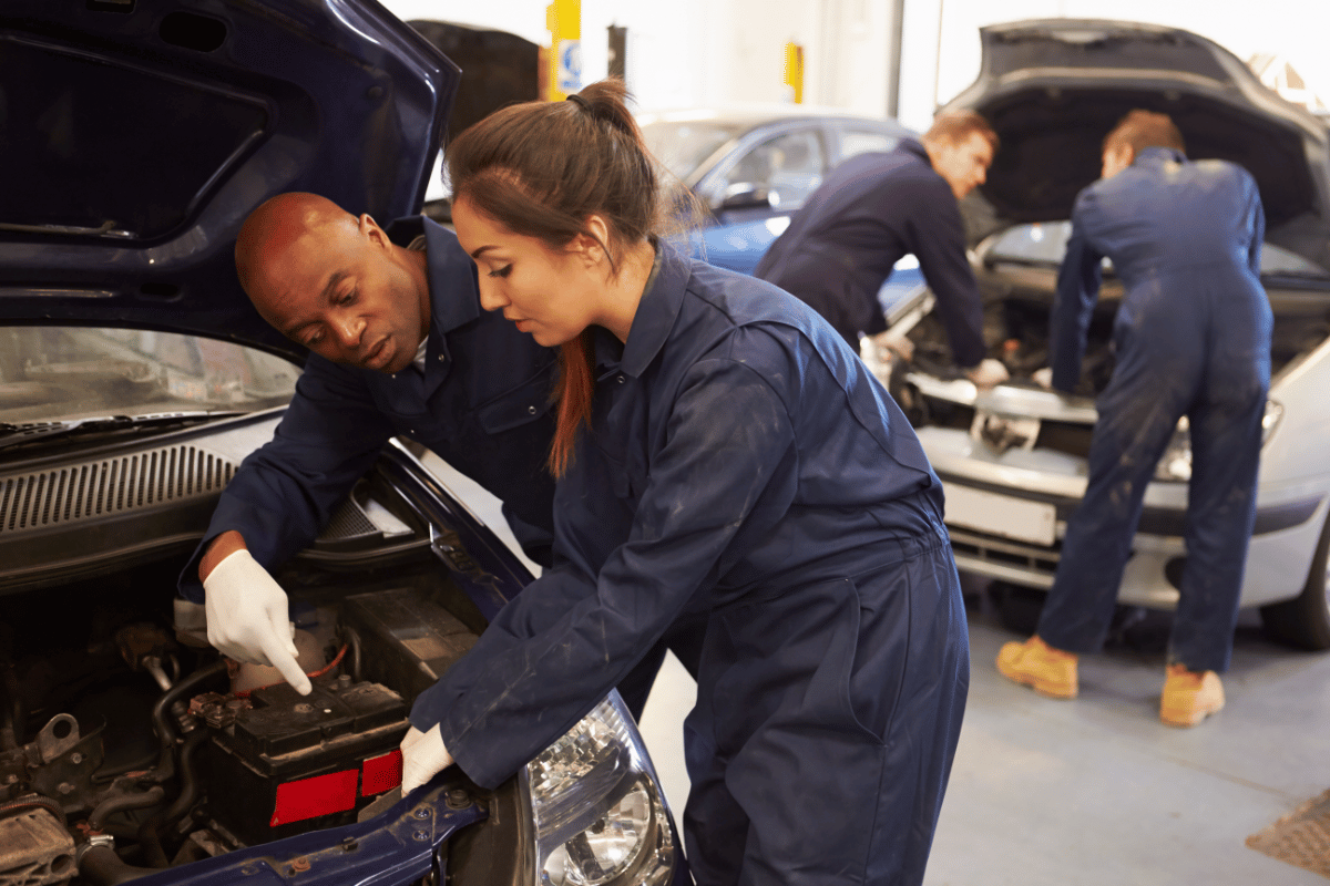 The Road to Trade Excellence: Navigating Vocational Training